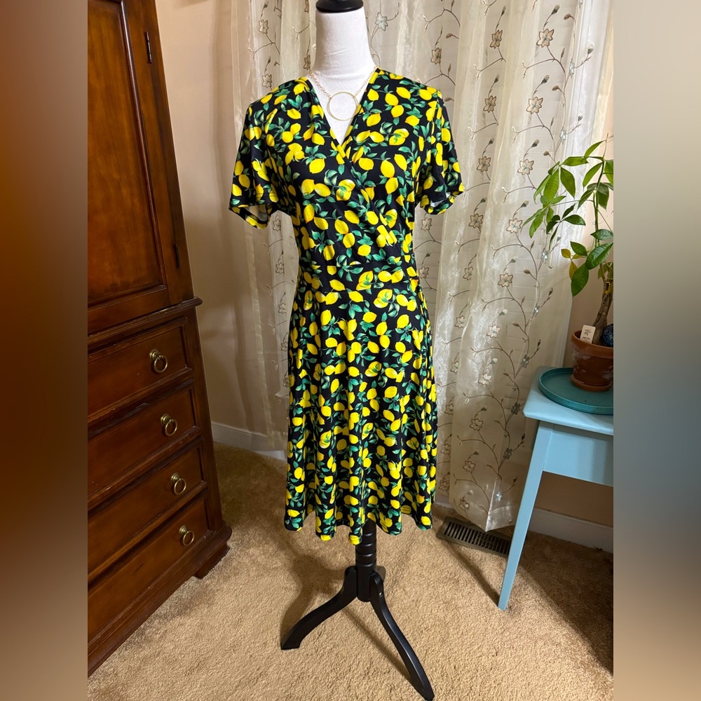 Cute fit and flare dress! Lemon Print V-Neck Dress size XL